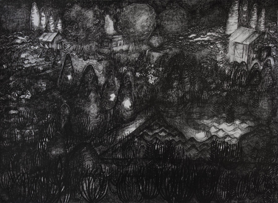 Rozemarijn Westerink - Garden, pen and ink on paper, 50 x 65 cm, 2016